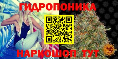 круглые Дубна