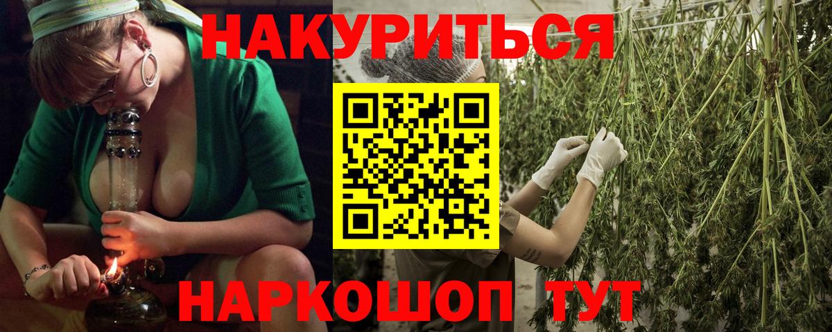 Канабис сатива Майский